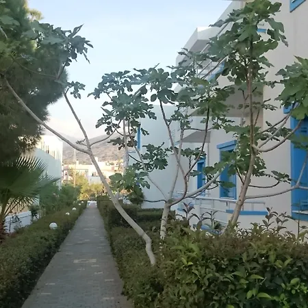 Amazones Aparthotel Hersonissos (Crete)
