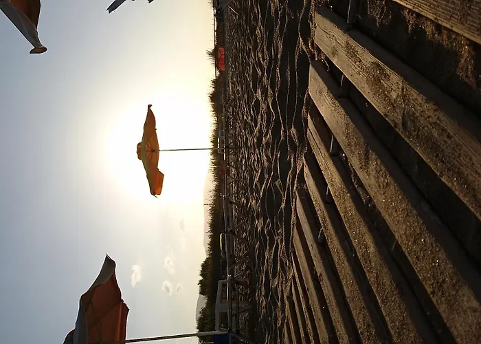 Amazones 헐소니소스