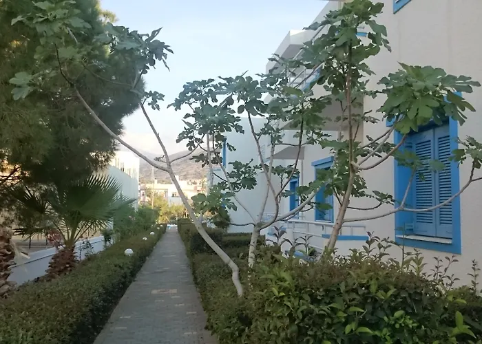 Amazones Aparthotel Hersonissos (Crete)