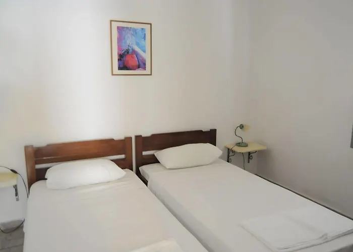 Amazones 헐소니소스