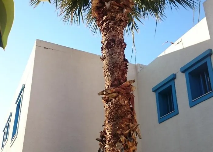 Lägenhetshotell Amazones Hersonissos (Crete)